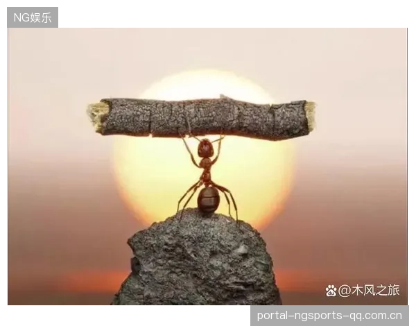膝撞鼻梁，对手血流满面：从极限运动中汲取的力量与勇气